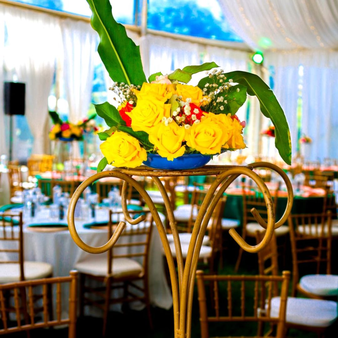 Timeless Touch Events (13)